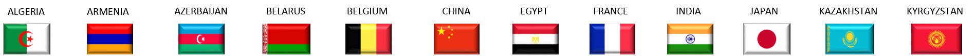 Intl Days Flags1
