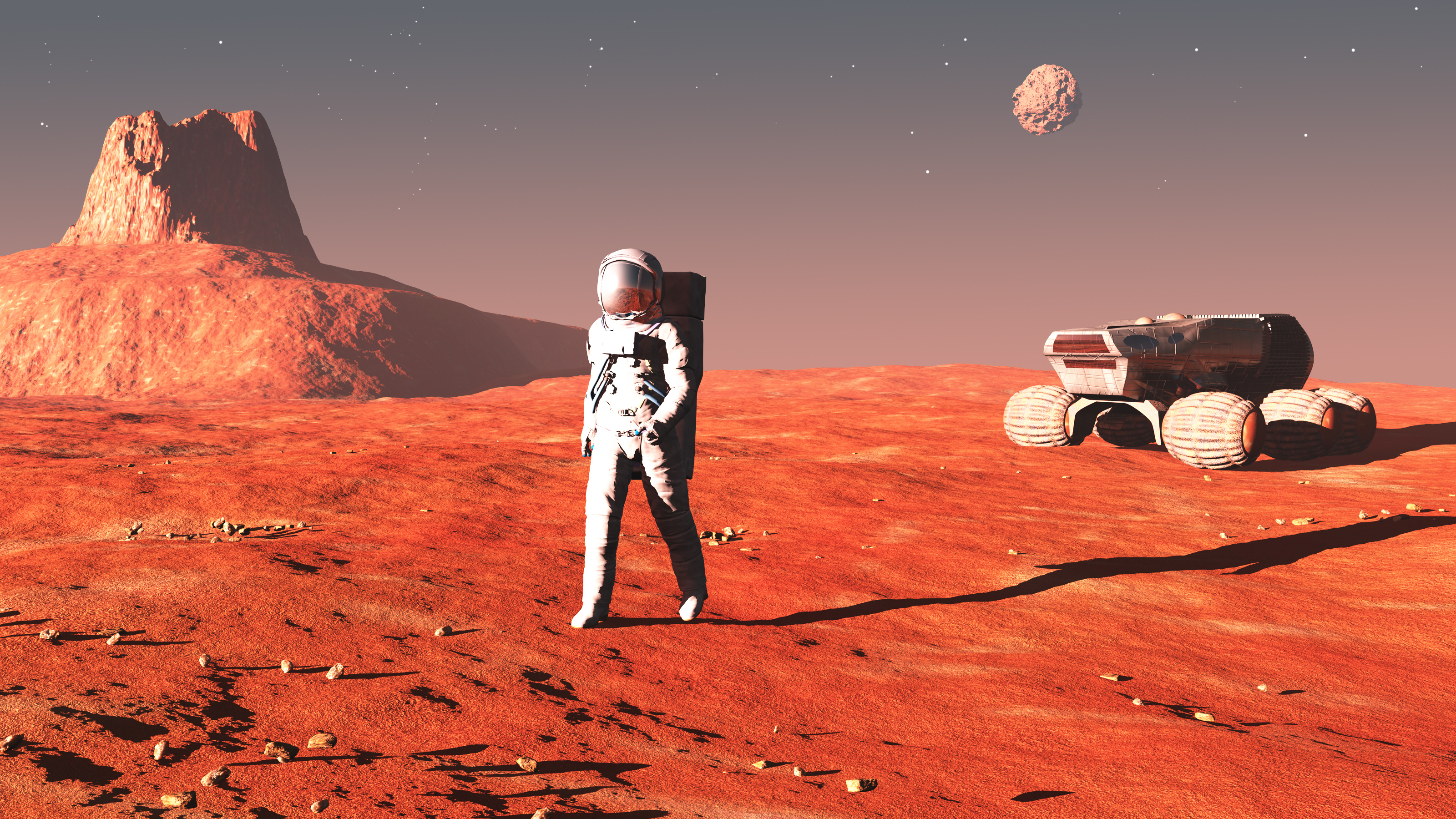 First Polish Analog Mission to Mars