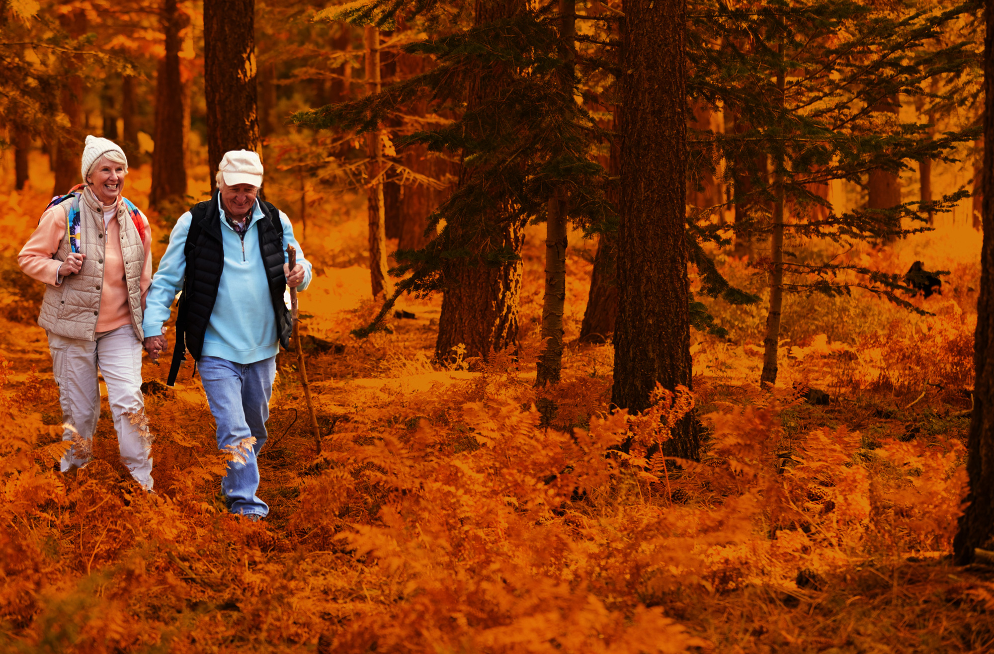 Ageing, Generational Change and Social Solidarity