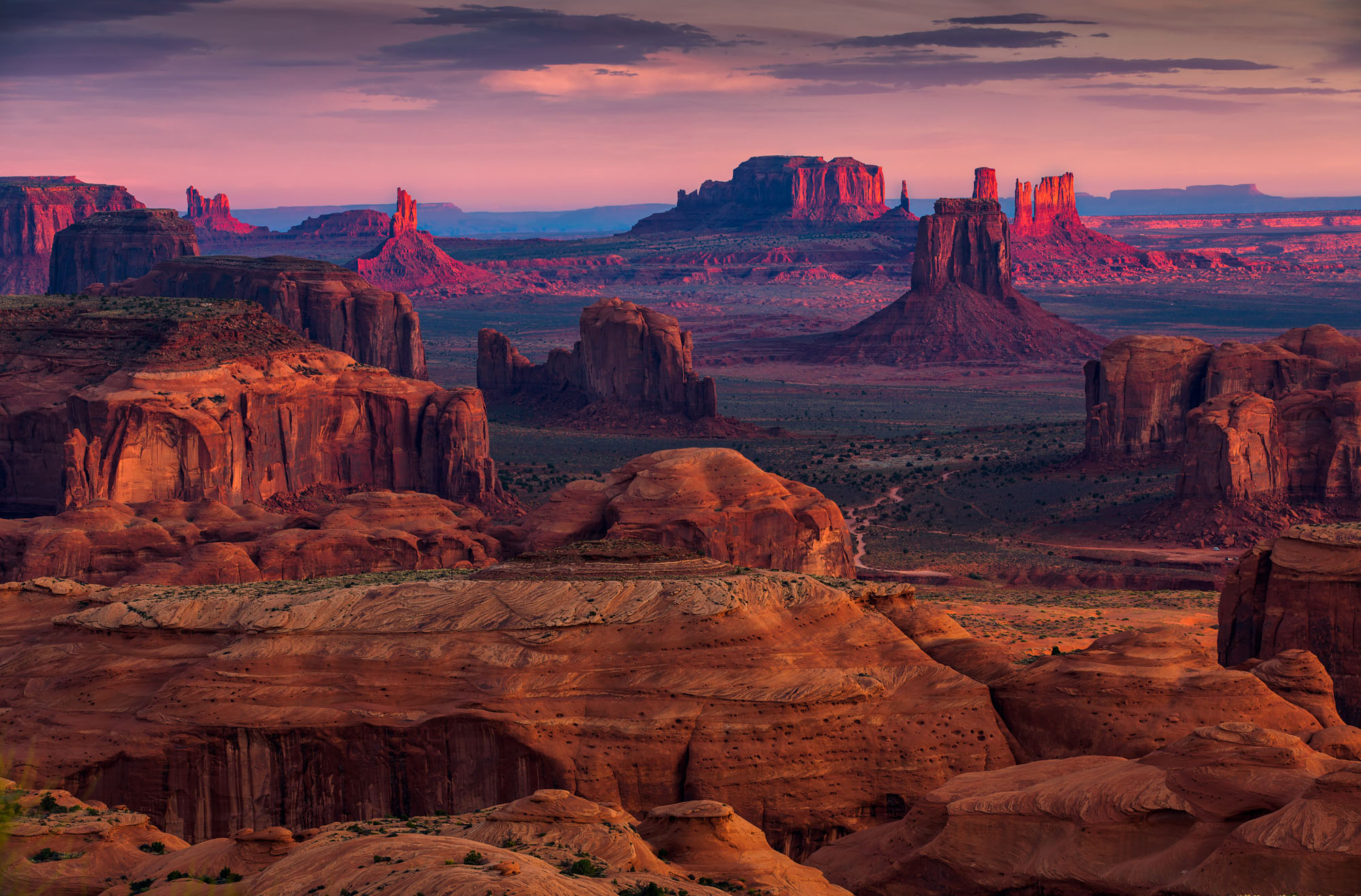 Natural Beauty, Natural History and Ugliness