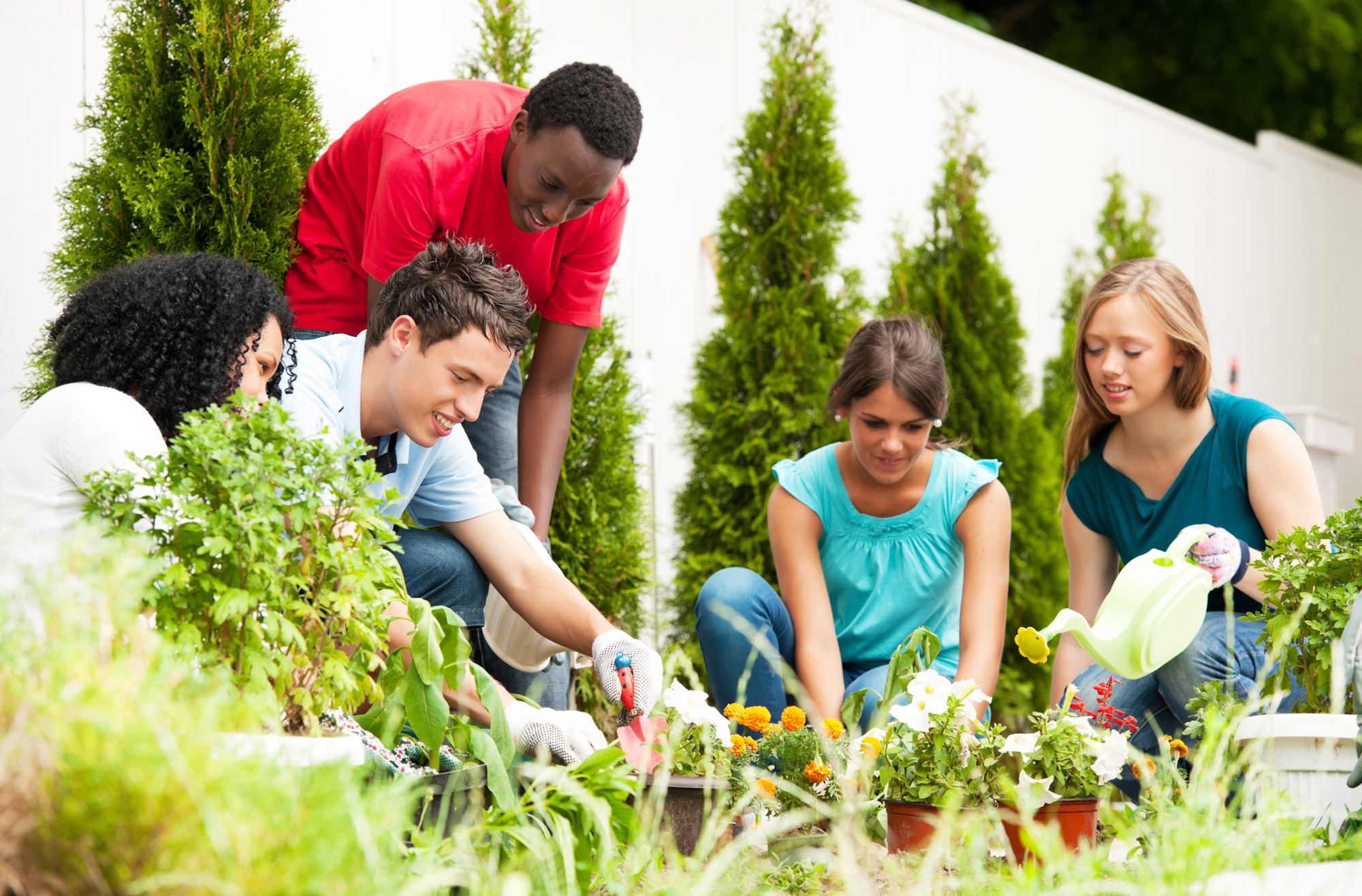 Changemaking in Israel