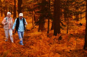 Ageing, Generational Change and Social Solidarity