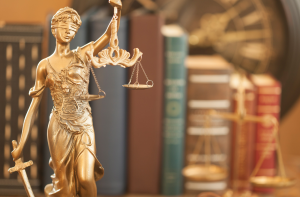 Webinar: The Ideal of the Rule of Law and Why it Matters