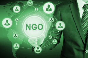A typology of the relations between non-governmental organizations in Poland