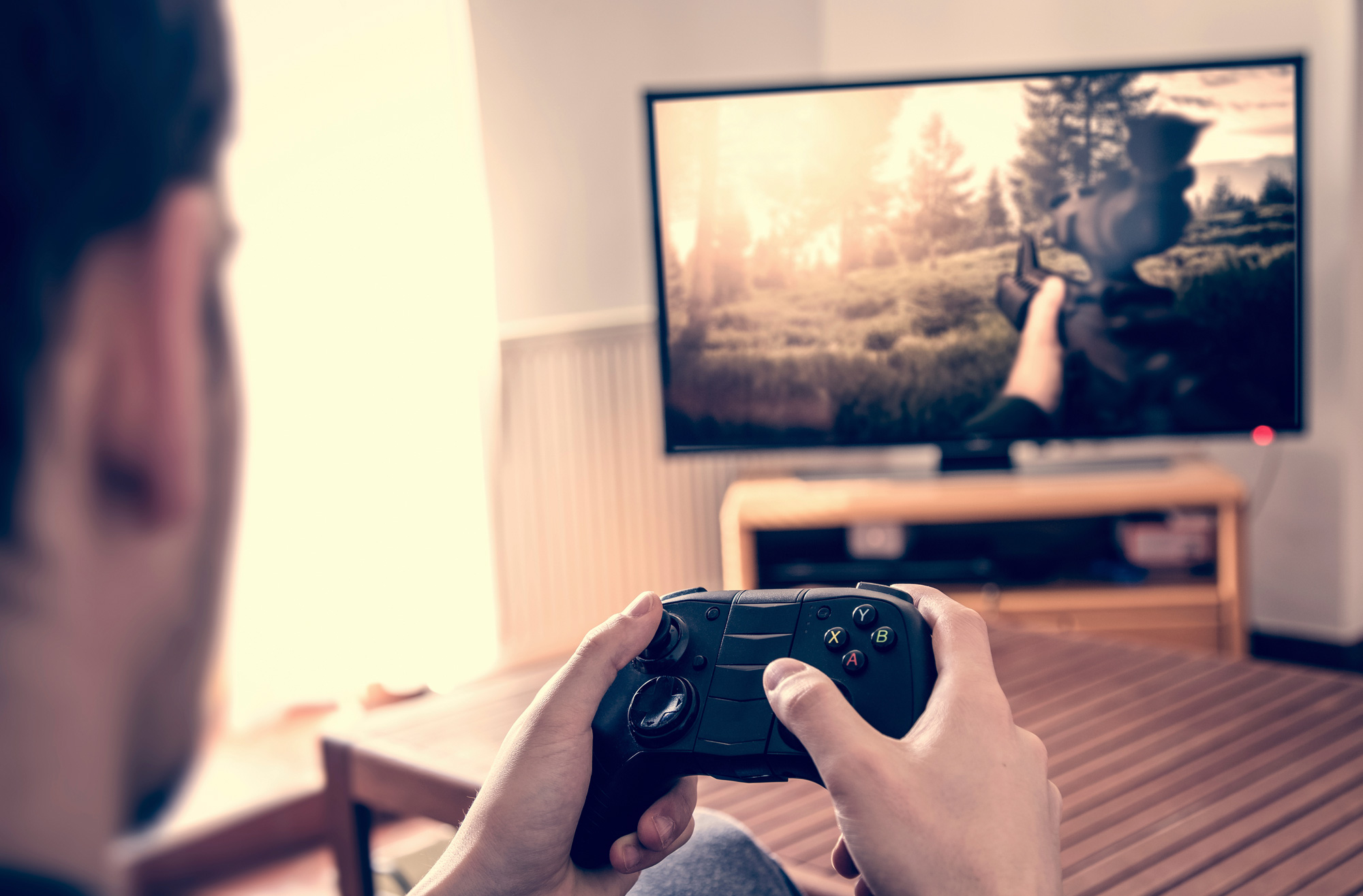 To train or to play? A comparison of traditional and gamified training approaches: The role of psychophysiological, cognitive and motivational factors in the improvement of executive functions