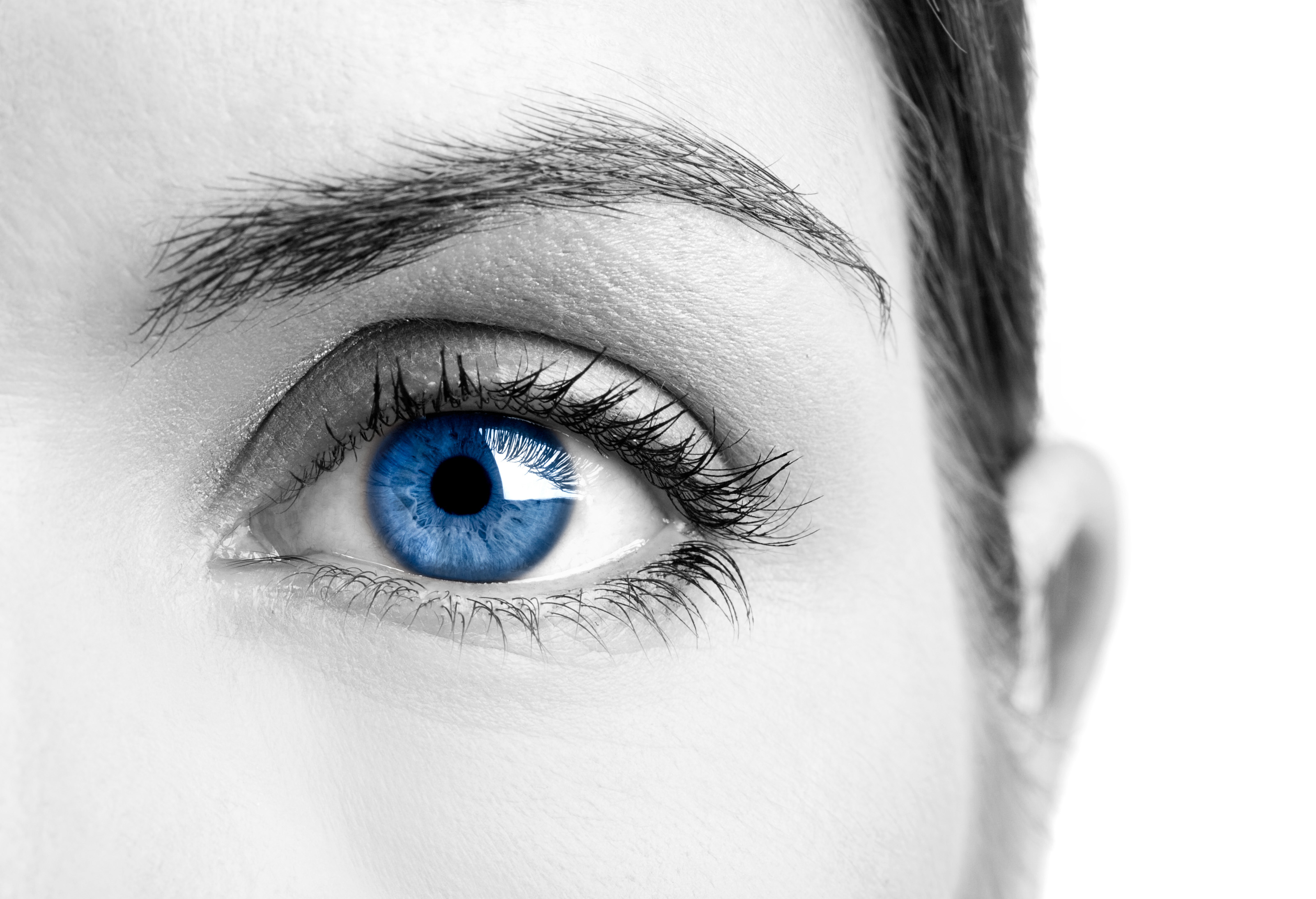 The Fifth Edition of Polish Eyetracking Conference