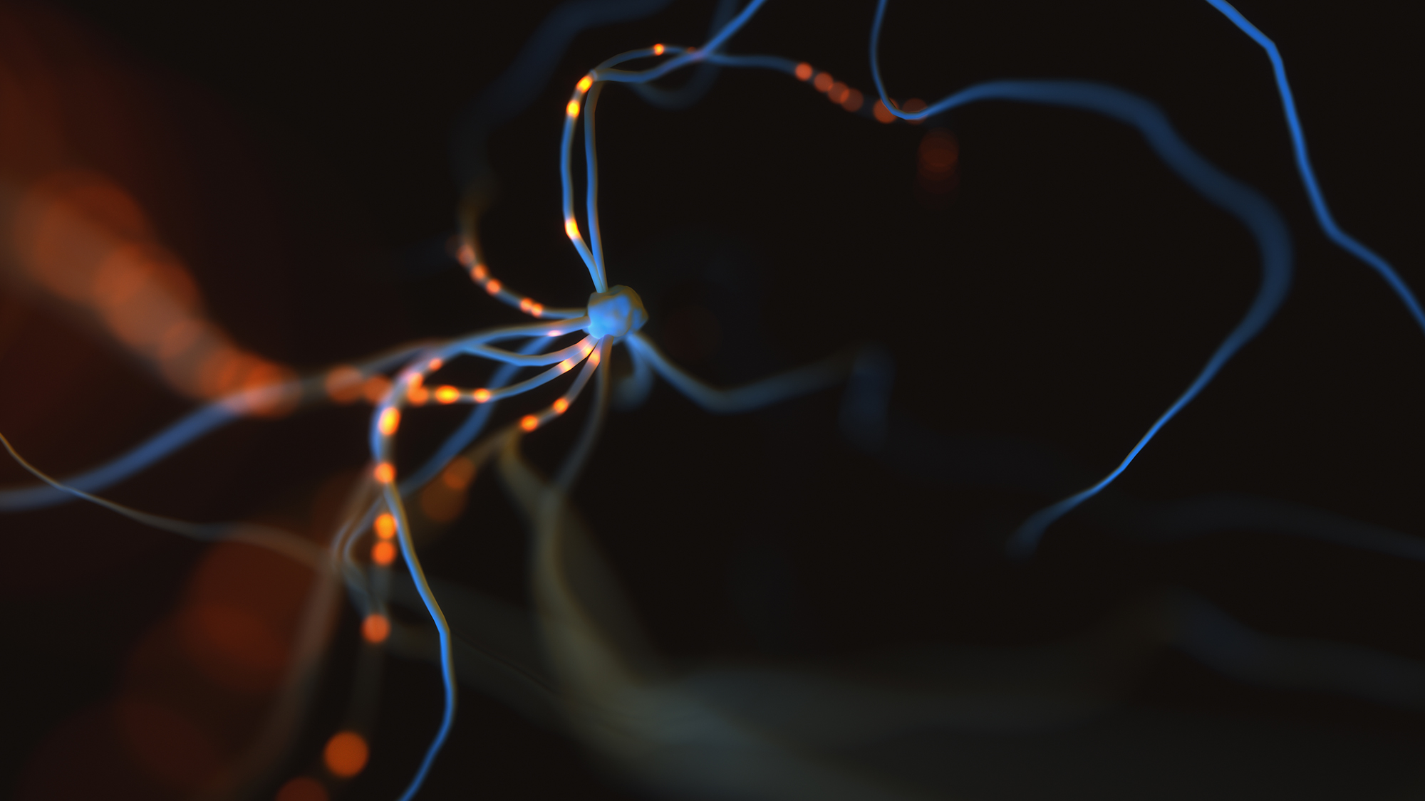 Neuronal mechanisms of executive and emotion regulation deficits