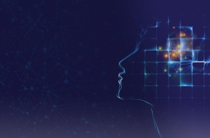 What is the common ground for modern psychotherapy?