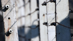 The Roots of the 20th Century Totalitarianism: Auschwitz - Holocaust - Genocides