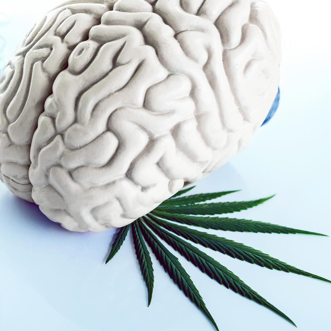 DrugsTeam centrum badan neuropoznawczych uniwersytet swps