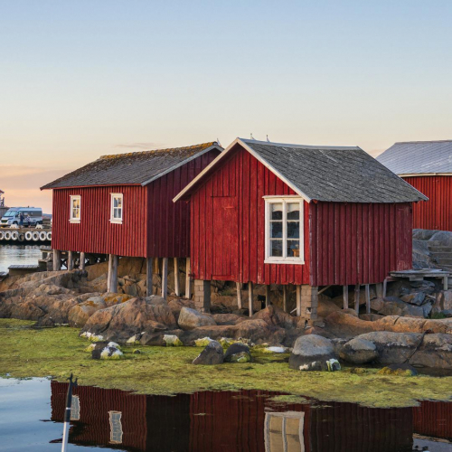 Department of Scandinavian Studies