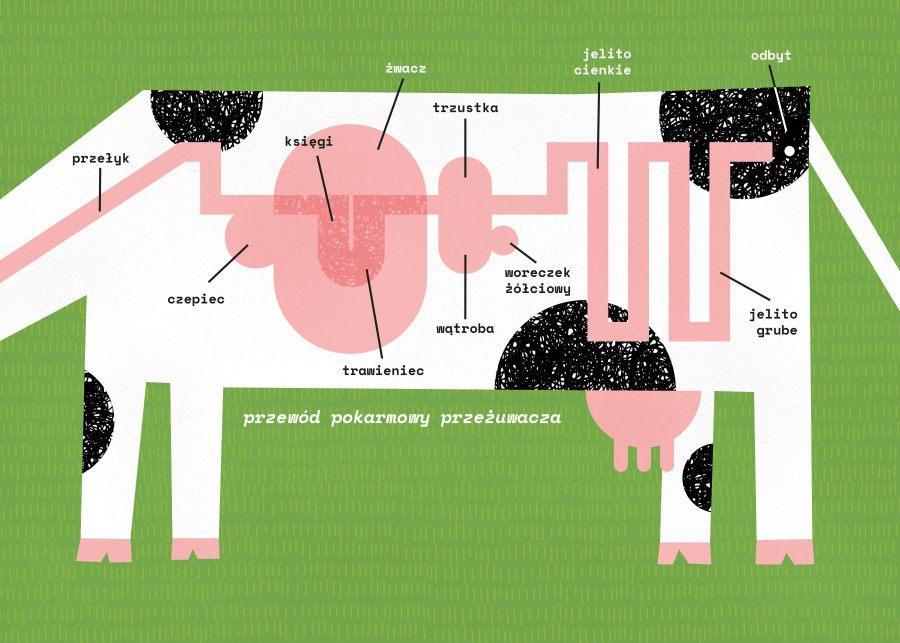 Infographic by Małgorzata Śmigielska