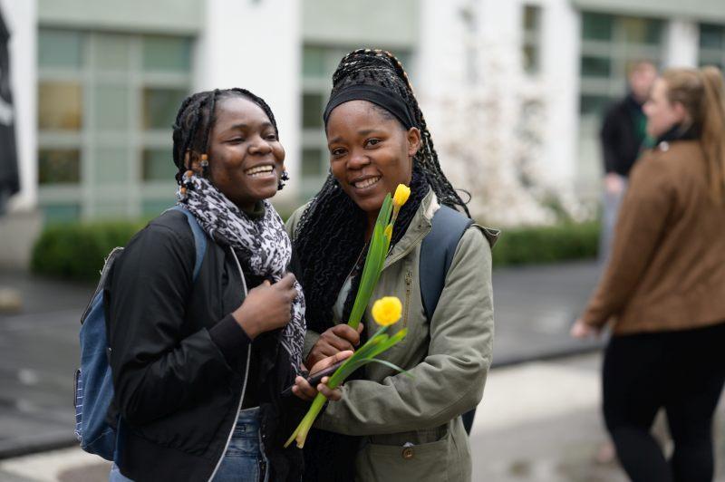 Daffodil Campaign 2023 at SWPS University