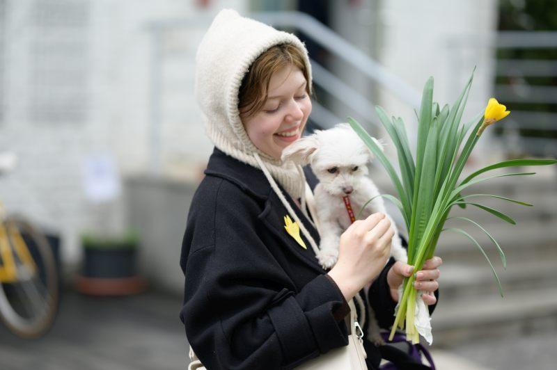 Daffodil Campaign 2023 at SWPS University
