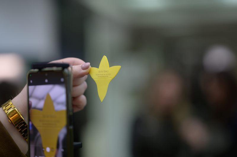 Daffodil Campaign 2023 at SWPS University