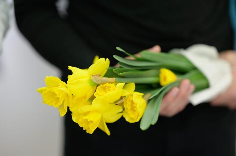 Daffodil Campaign 2023 at SWPS University