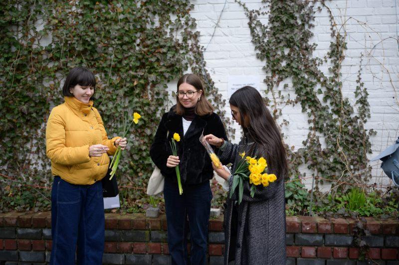 Daffodil Campaign 2023 at SWPS University