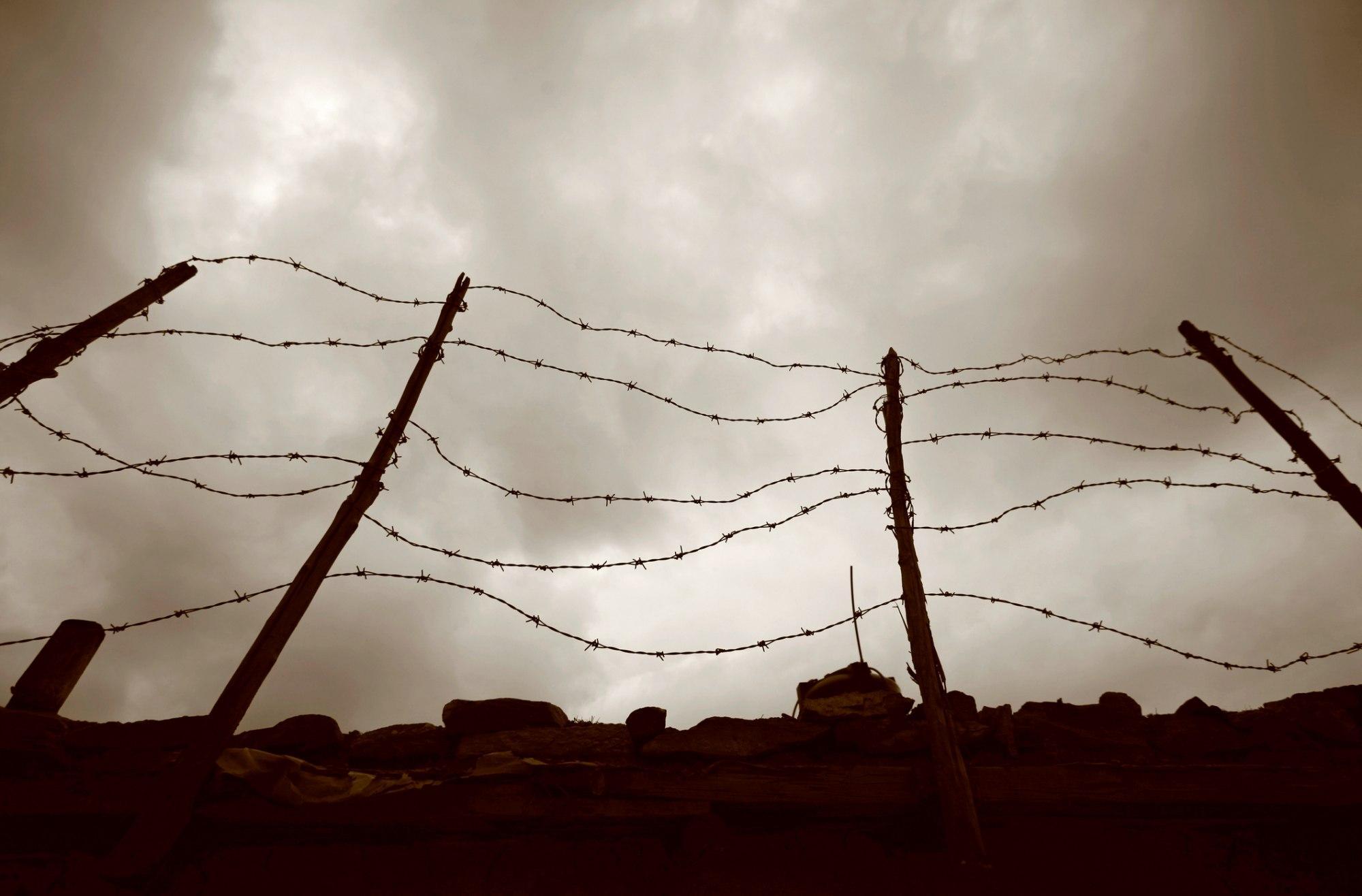 Webinar: About and Beyond the Trauma of Holocaust
