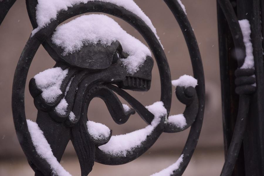 Forged gate with a dragon head motif.