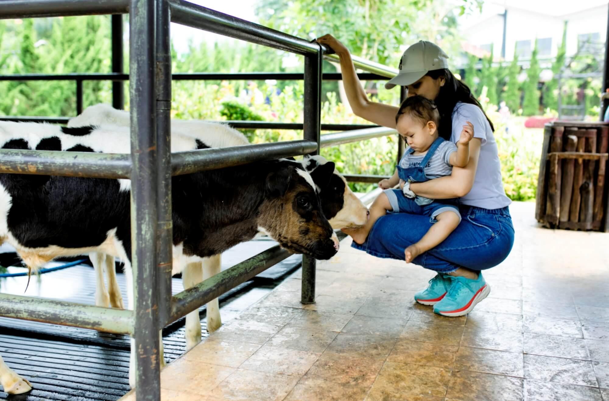 Lecture: Architecture, Human Structures and Animal Personhood