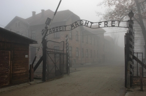 Explaining the Roots of Evil: Cooperation Between SWPS University and Auschwitz-Birkenau State Museum
