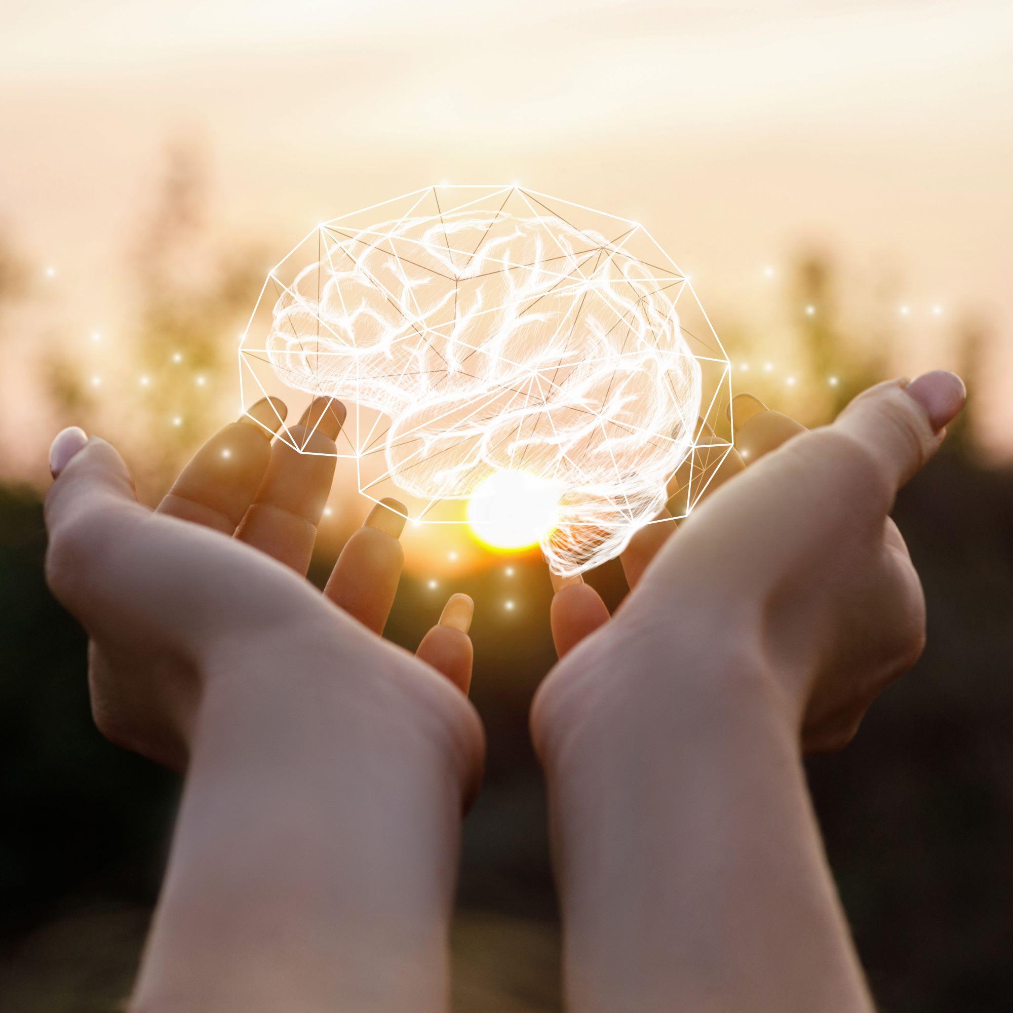 NeuroFani (NeuroFans) Student Research Group 