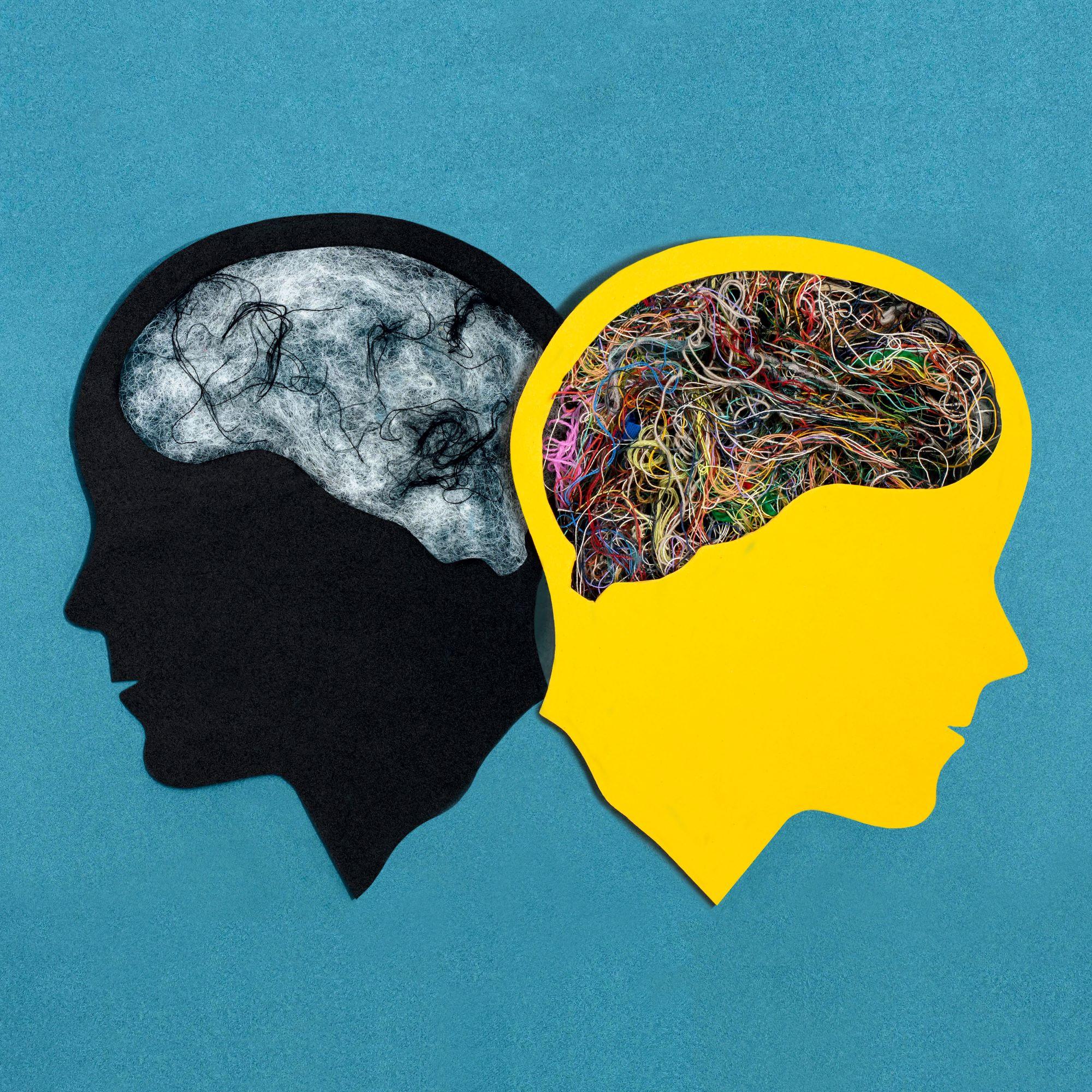 Social Psychology Student Research Club