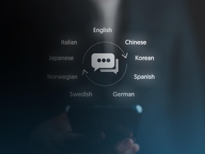 Mediation and Mediation Activities in Communication in Foreign Languages