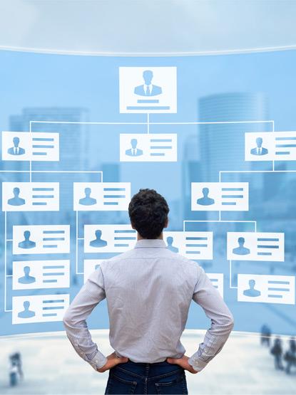 organizational structure
