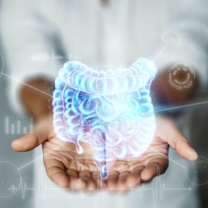 The impact of an anti-inflammatory probiotic supplementation on cognitive functioning in the elderly population – the moderating role of the dietary pattern